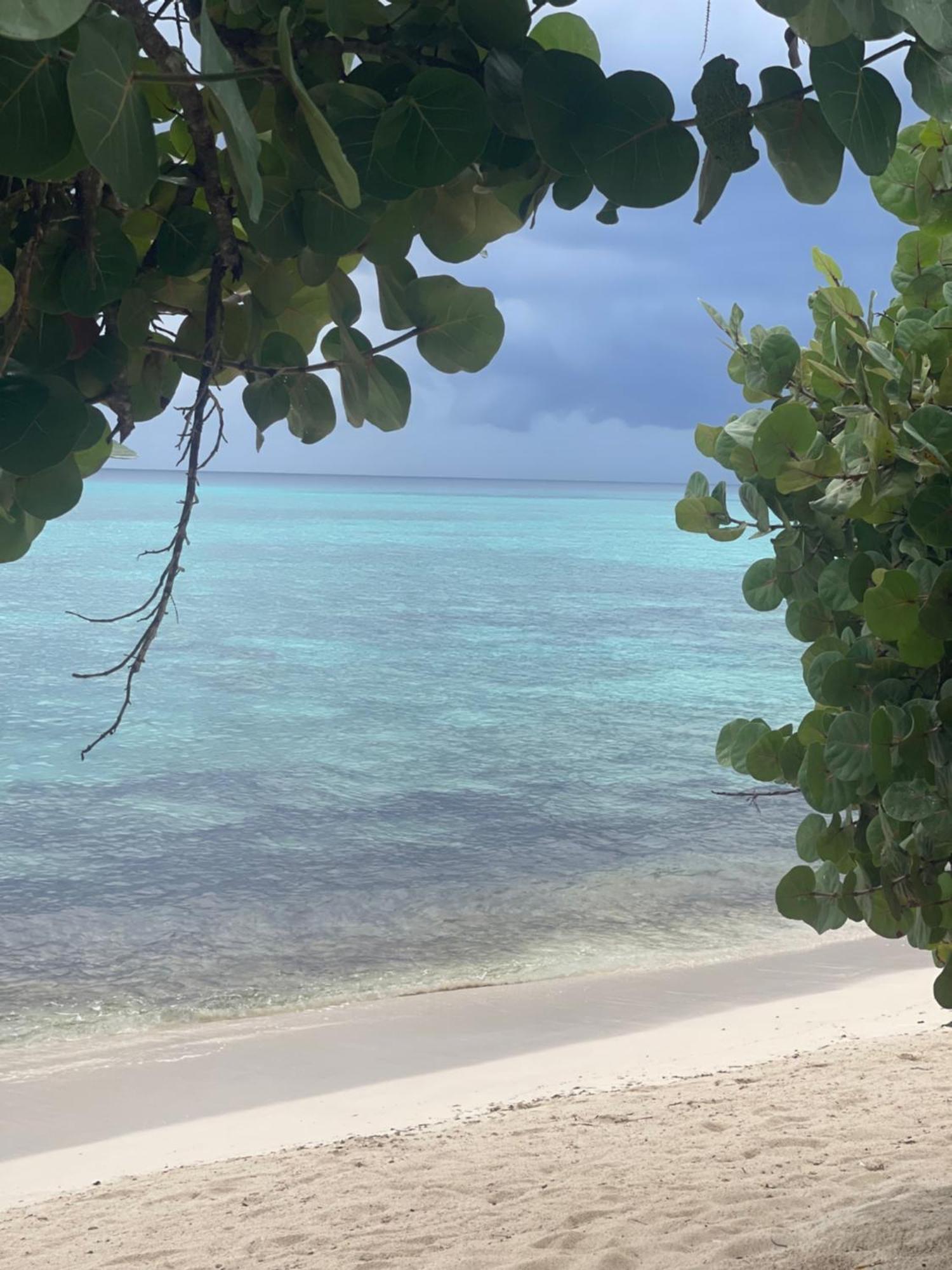 باياهيبي B&B Villa Luna المظهر الخارجي الصورة