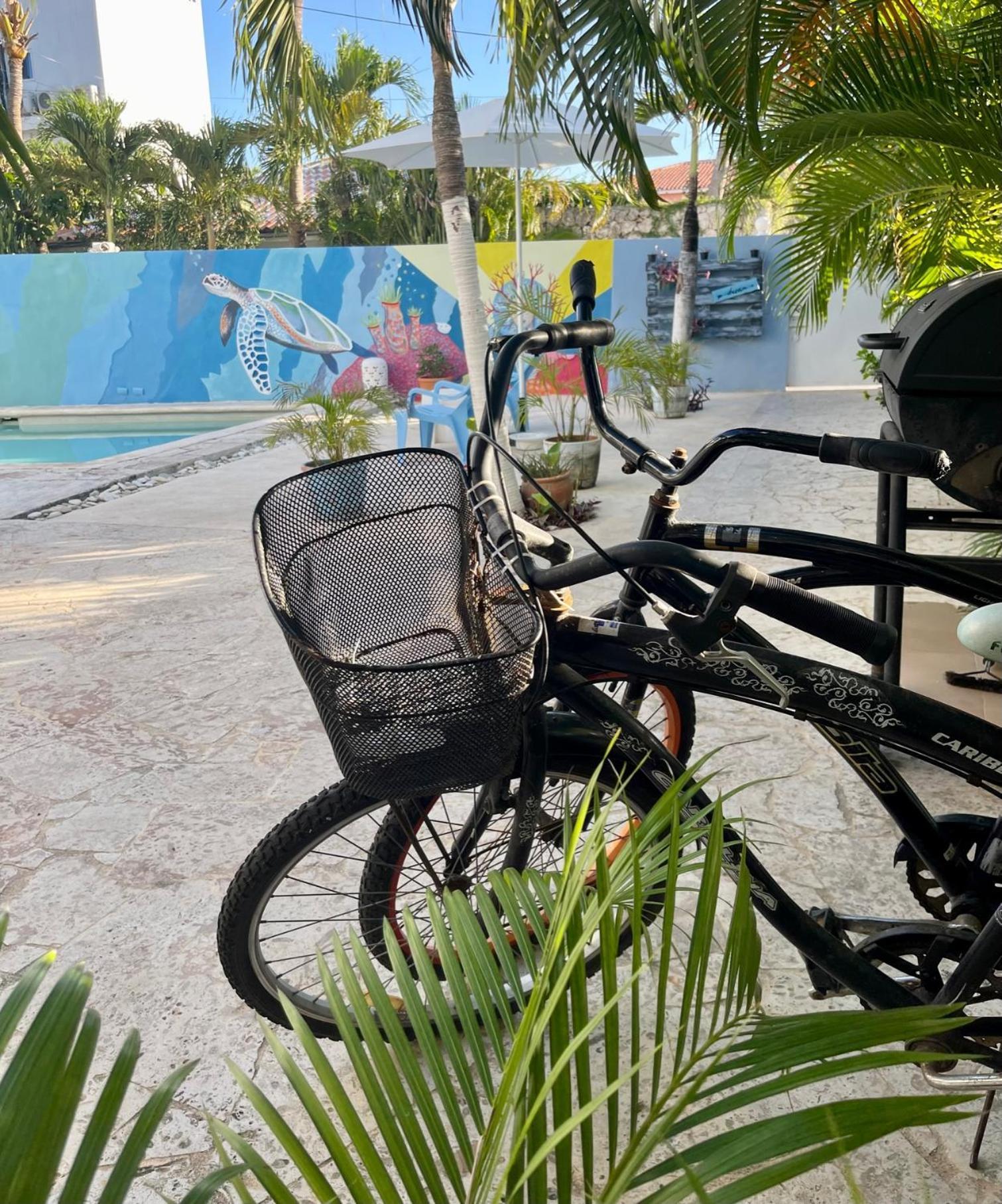 باياهيبي B&B Villa Luna المظهر الخارجي الصورة