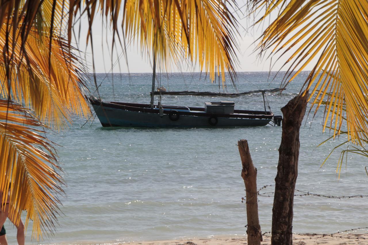 باياهيبي B&B Villa Luna المظهر الخارجي الصورة